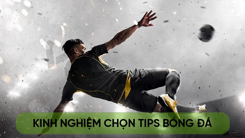 Các yếu tố đánh giá tips bóng đá chất lượng