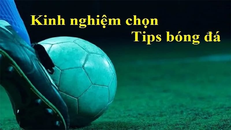 Một số lưu ý khi chọn tips bóng đá