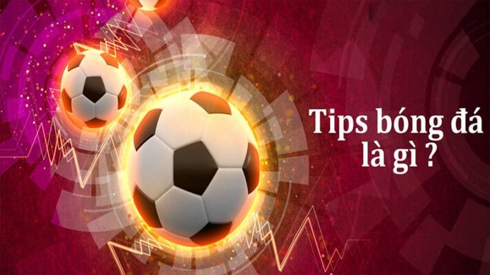 Vì sao cần có kinh nghiệm chọn tips bóng đá?