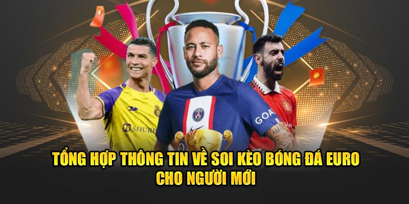 Các bước soi kèo bóng đá Euro hiệu quả cho người mới